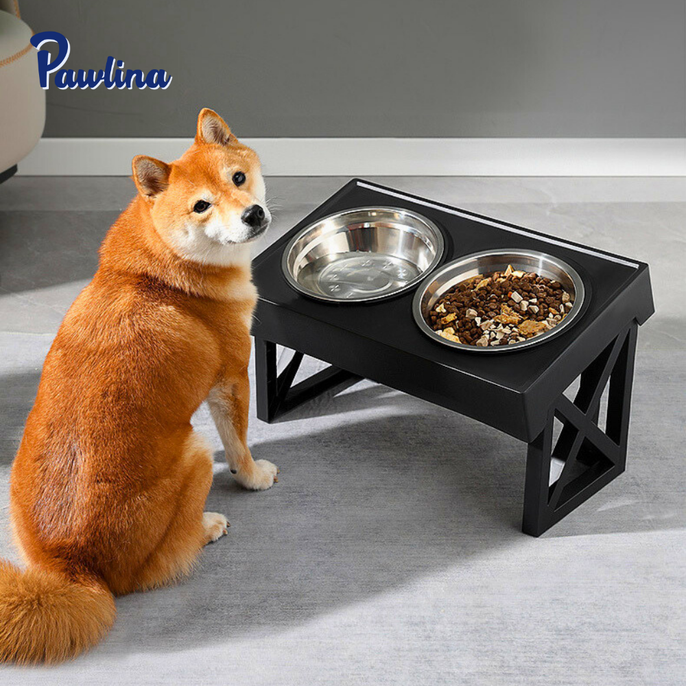 Höhenverstellbarer Napf mit Anti-Schling-Einsatz  - rückenschonend und langsamer Fressen