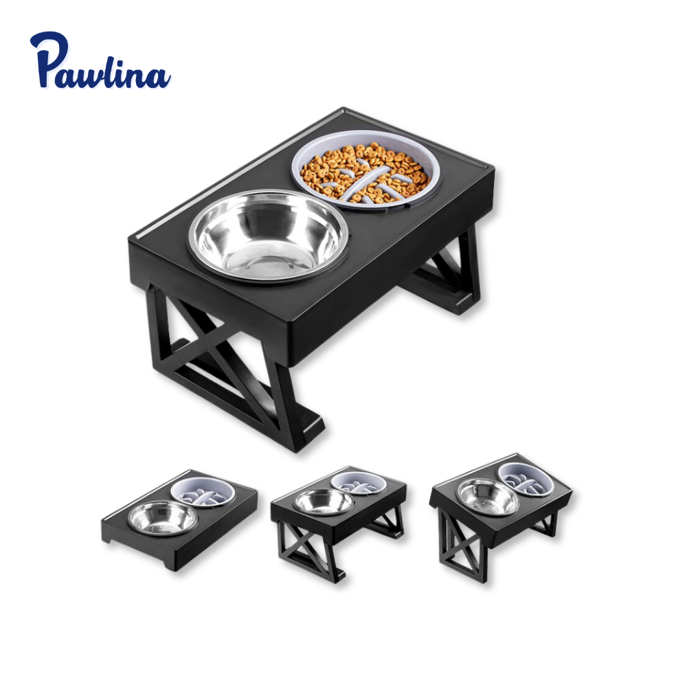 Höhenverstellbarer Napf mit Anti-Schling-Einsatz  - rückenschonend und langsamer Fressen