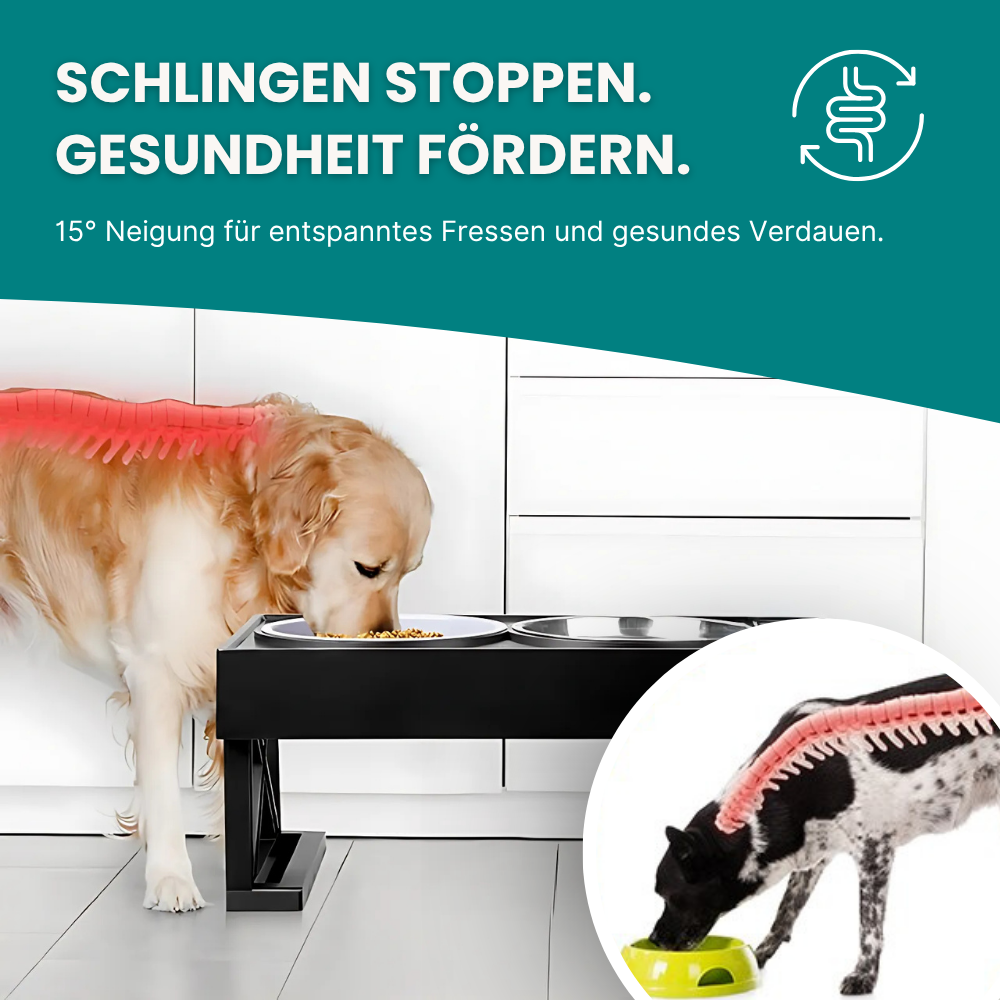 Höhenverstellbarer Napf mit Anti-Schling-Einsatz  - rückenschonend und langsamer Fressen