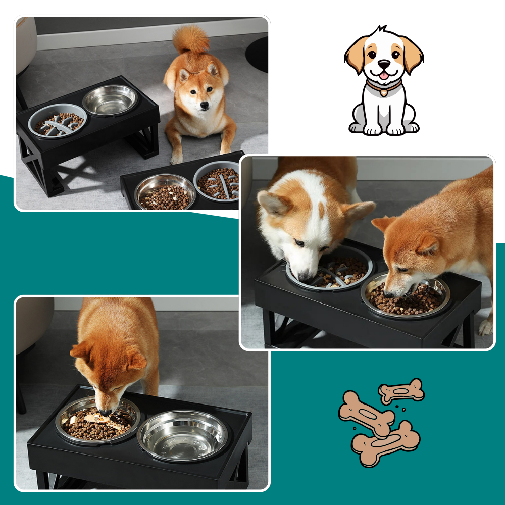 Höhenverstellbarer Napf mit Anti-Schling-Einsatz  - rückenschonend und langsamer Fressen