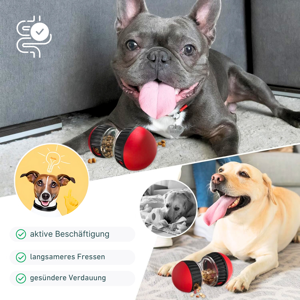 Interaktives Hundespielzeug mit Futterspender – Spiel, Spaß & gesunde Fütterung in einem